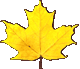 small yellow leaf
